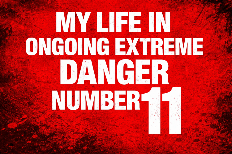 My Life In Ongoing,  Extreme Danger #11