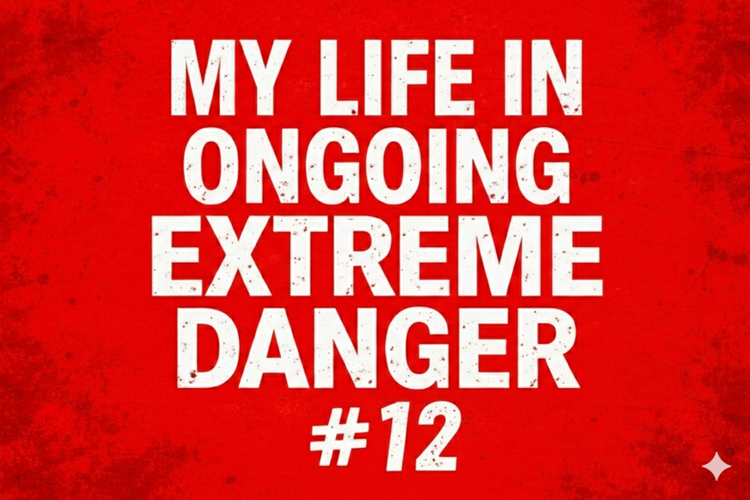 My Life in Extreme Ongoing Danger #12