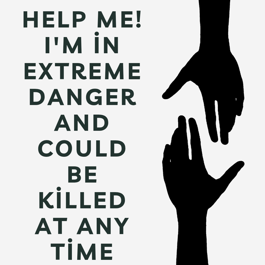 I am in extreme danger — I am publishing evidence now