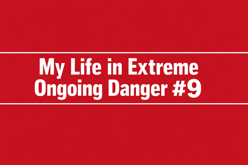 Incident Report #9 Series: My Life in Extreme Ongoing Danger